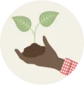 Graphic of a hand holding a verdant sprout